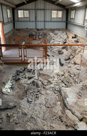 Cleveland, Utah - La Cleveland-Lloyd Dinosaur Quarry. Plus de 12 000 de l'ère jurassique des ossements de dinosaures ont été trouvés sur le site. Banque D'Images