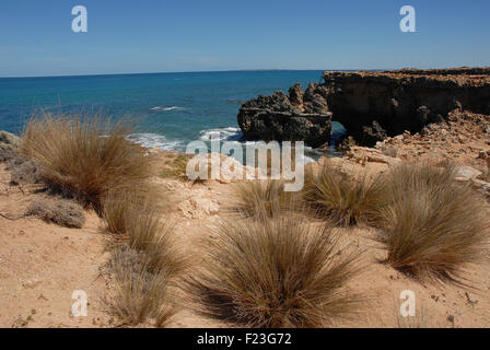 Côte calcaire, Robe, Australie du Sud Banque D'Images