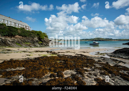 Plage de Hawker Cove près de Padstow. Banque D'Images