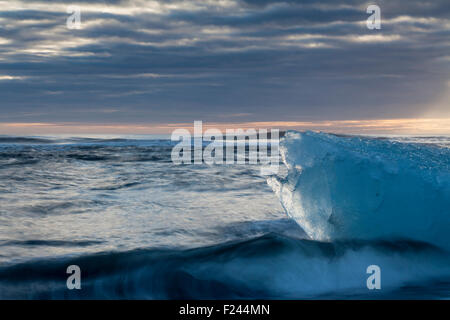 Les icebergs de la lagune glaciaire du Jökulsárlón est échoué sur une plage de sable volcanique noir. Le sud de l'Islande. Banque D'Images