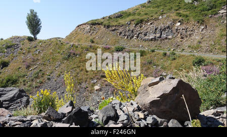 Garni gorge, Arménie, Caucase, Asie centrale Banque D'Images