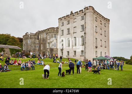 Les personnes bénéficiant d'un concours amateur dog show à Picton Castle, Pembrokeshire, Pays de Galles de l'Ouest. Banque D'Images