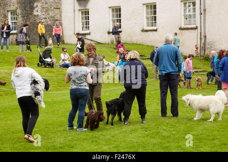 Les personnes bénéficiant d'un concours amateur dog show à Picton Castle, Pembrokeshire, Pays de Galles de l'Ouest. Banque D'Images