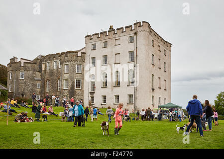 Les personnes bénéficiant d'un concours amateur dog show à Picton Castle, Pembrokeshire, Pays de Galles de l'Ouest. Banque D'Images