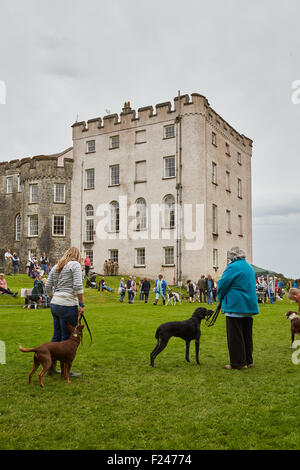 Les personnes bénéficiant d'un concours amateur dog show à Picton Castle, Pembrokeshire, Pays de Galles de l'Ouest. Banque D'Images