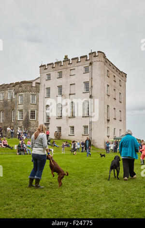 Les personnes bénéficiant d'un concours amateur dog show à Picton Castle, Pembrokeshire, Pays de Galles de l'Ouest. Banque D'Images