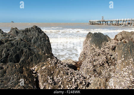 L'estran rocheux et de la jetée de la plage principale de Palm Cove au nord de Cairns, Queensland, Australie Banque D'Images