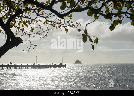 Pier et plage de Palm Cove à tôt le matin, le Queensland du nord, Australie Banque D'Images