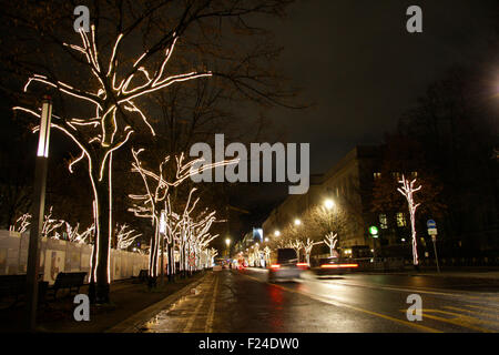 Weihnachten à Berlin : un Baeumen Weihnachtsdekoration den am Boulevard Unter den Linden, Dezember 2013, Berlin-Mitte. Banque D'Images