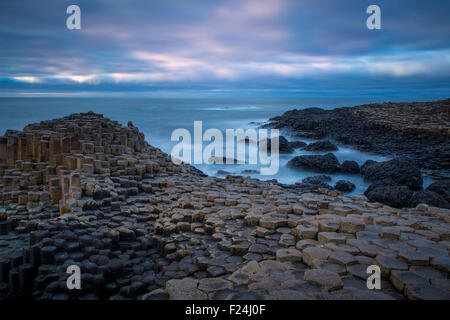 Sur le crépuscule des géants le long de la côte nord, dans le comté d'Antrim, Irlande du Nord, Royaume-Uni Banque D'Images