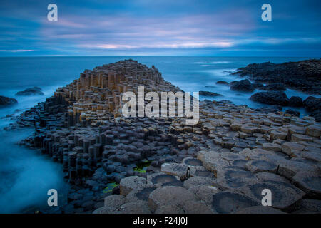 Sur le crépuscule des géants le long de la côte nord, dans le comté d'Antrim, Irlande du Nord, Royaume-Uni Banque D'Images