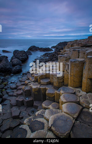 Sur le crépuscule des géants le long de la côte nord, dans le comté d'Antrim, Irlande du Nord, Royaume-Uni Banque D'Images