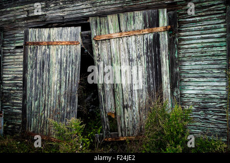 Portes vieillies accrocher sur un fond vert d'Ajar, bâtiment de bois. Banque D'Images