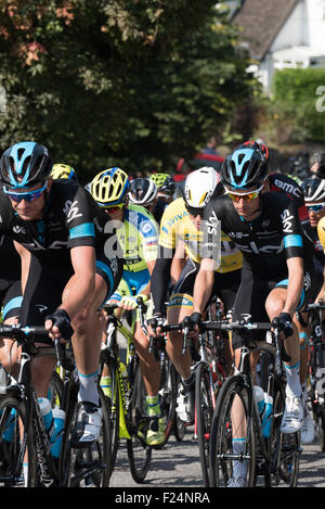 L'équipe néerlandaise professionnelle sky Rider Rider Wout Poels dans le peloton sur l'étape 6 du Tour de Grande-Bretagne 2015 Matlock Derbyshire UK Banque D'Images