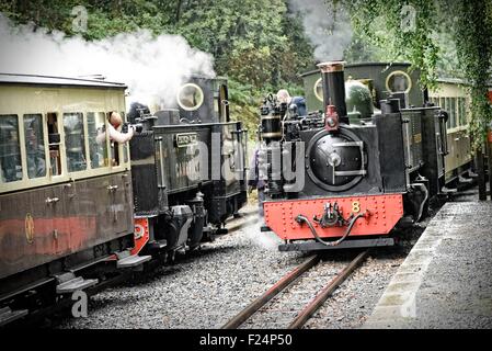 La vallée de fer de Rheidol (Gallois : Rheilffordd Rheidol mcg) est un 1 ft 11 3 1/4 po (603 mm) à voie étroite de chemin de fer à vapeur du patrimoine Banque D'Images