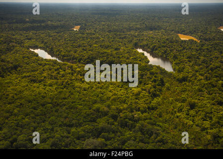 Yavari-Mirin Rainforest par antenne, rivière, lac et forêt primaire d'Oxbow, Région de l'Amazonie, Pérou Banque D'Images