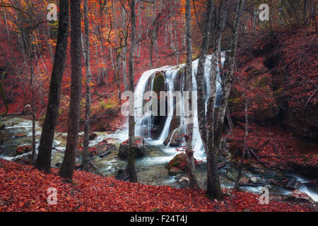 Belle cascade en forêt d'automne dans les montagnes de Crimée au coucher du soleil. Chute d'eau d'argent dans le Grand Canyon de Crimée. Banque D'Images