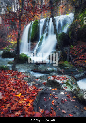 Belle cascade en forêt d'automne dans les montagnes de Crimée au coucher du soleil. Chute d'eau d'argent dans le Grand Canyon de Crimée. Banque D'Images