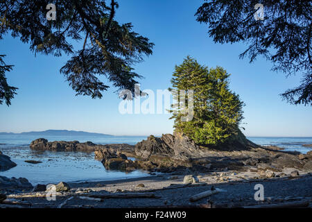 Au jardin botanique de Botany Bay Beach Provincial Park in British Columbia, Canada Banque D'Images