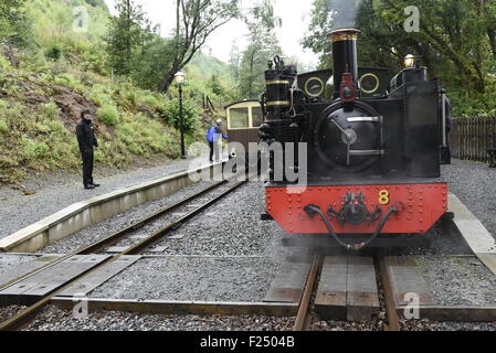 La vallée de fer de Rheidol (Gallois : Rheilffordd Rheidol mcg) est un 1 ft 11 3 1/4 po (603 mm) à voie étroite de chemin de fer à vapeur du patrimoine Banque D'Images