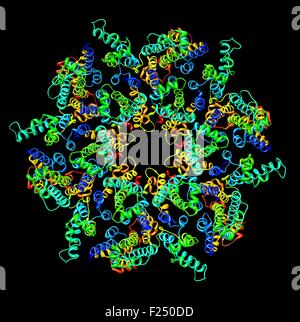 Vue frontale d'une représentation moléculaire de l'immaturité de l'immunodéficience humaine de type 1 (VIH-1) dans la capside du virus intacts une particule. L'assemble de la polyprotéine en une protéine hexamérique lattice à la membrane plasmique de la cellule infectée, l'induction et à la libération d'un bourgeonnement des particules immatures.menant à un réarrangement interne du virus dans la maturité, sous forme de maladies infectieuses. Banque D'Images