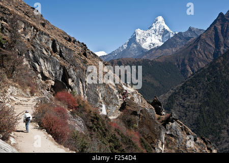 Amadablam vu en arrière-plan dans la région de Khumbu Everest vallée, Site du patrimoine mondial, le parc national de Sagarmatha (Népal) Banque D'Images