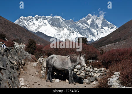 La crête de montagnes majestueuses comme vu à Dingboche environs Lhotse et Nuptse pics dans la région de la vallée de Khumbu Everest Népal Banque D'Images