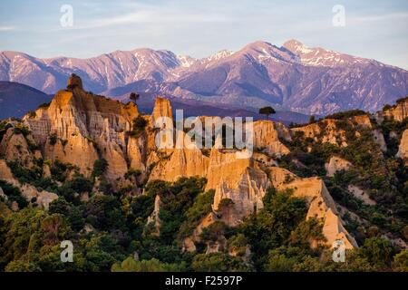 France, Pyrénées Orientales, Commission géologique de l'emplacement de l'Orgues d'Ille-sur-TΩt, Massif du Canigou en arrière-plan Banque D'Images