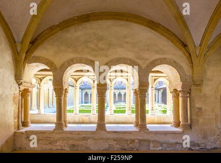 La France, de la Loire, Charlieu, Saint Fortunatus' Abbaye, chapter House, Brionnais Banque D'Images