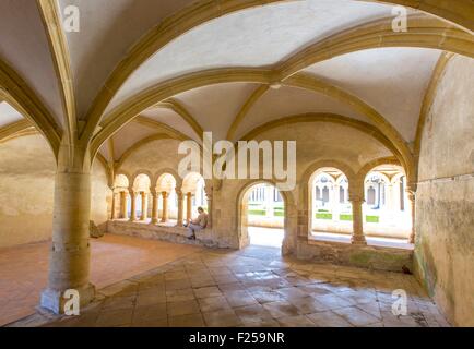 La France, de la Loire, Charlieu, Saint Fortunatus' Abbaye, chapter House, Brionnais Banque D'Images