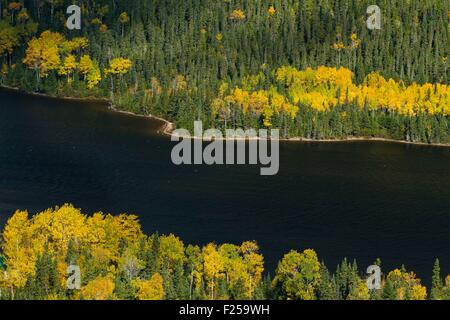 Le Canada, la province du Québec, Saguenay Lac Saint Jean, Lac des Ha ! Ha !, lac et forêt en automne Banque D'Images