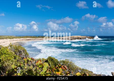 La France, la Guadeloupe (French West Indies), la Grande Terre, Saint Franτois, Pointe des Châteaux est une péninsule à l'extrémité orientale de l'île Banque D'Images