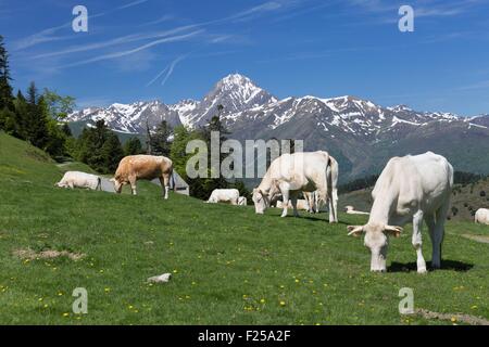 France, Hautes Pyrenees, Aspin et Pic du Midi de Bigorre Banque D'Images