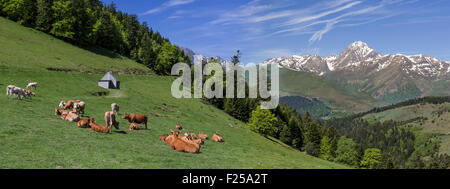 France, Hautes Pyrenees, Aspin et Pic du Midi de Bigorre Banque D'Images