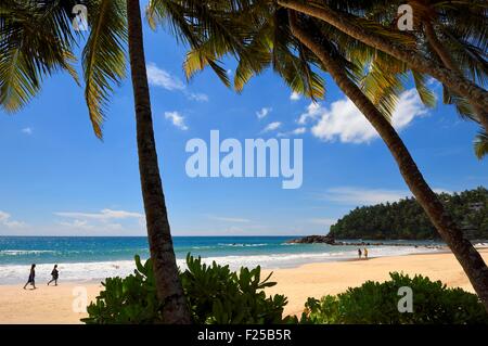 Sri Lanka, Province du Sud, Weligama, Mirissa Beach, Banque D'Images