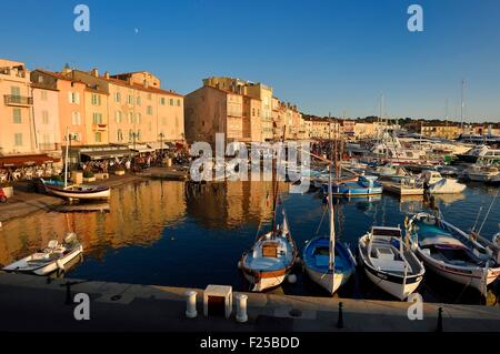 La France, Var, Saint-Tropez, pointus (bateaux bateaux méditerranéens traditionnels) dans le port Banque D'Images