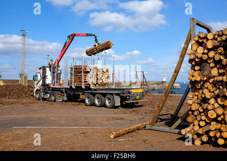 Couper du bois de sciage d'être chargés à bord d'un camion remorque après l'importation au port de Troon Ayrshire, Ecosse, Banque D'Images