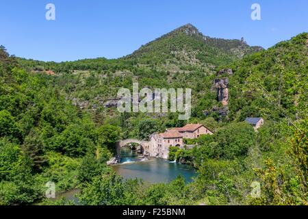 La France, l'Aveyron, les Causses et les Cévennes, paysage culturel agropastoraux méditerranéens, classé au Patrimoine Mondial de l'UNESCO, La Vallée de la Dourbie, Parc Naturel Régional des Grands Causses, La Roque Sainte Marguerite, le Moulin de Corp (Moulin de corp) Banque D'Images