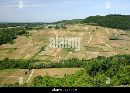 La France, du Jura, Château Chalon, étiqueté Les Plus Beaux Villages de Franceá(Les Plus Beaux Villages de France),Cour áPetit point, vignoble et village de Menetru Banque D'Images