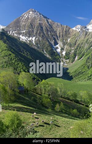 France, Hautes Pyrenees, Azet, vallée d'Aure et pic de Lustou Banque D'Images