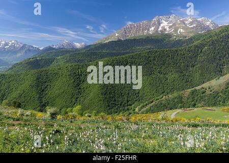 France, Hautes Pyrenees, Aspin, vallée d'Aure Banque D'Images
