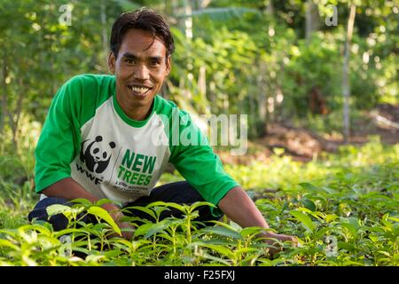 L'Indonésie, îles de la sonde, Lombok, le WWF Nouveau Projet Trees, villageois, en prenant soin des arbres de la pépinière Banque D'Images