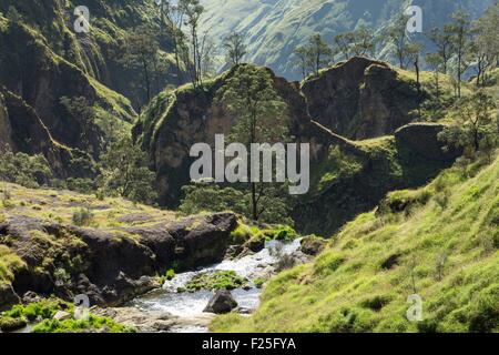 L'Indonésie, îles de la sonde, Lombok, parc national de Gunung Rinjani, rivière dans une vallée de Rinjani Banque D'Images