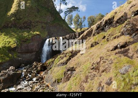 L'Indonésie, îles de la sonde, Lombok, parc national de Gunung Rinjani, cascade et hot springs Banque D'Images