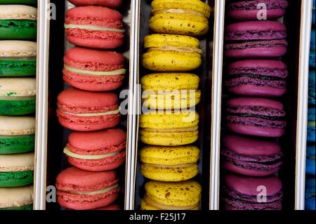 La France, Var, Hyeres, Dominique chocolat et pâtisserie macaron, Banque D'Images