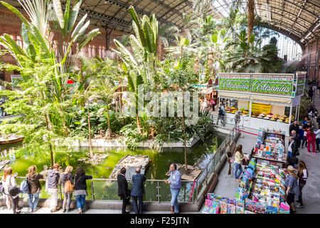 Espagne, Madrid, Atocha gare à la fin du xixe siècle lorsqu'en 1992 l'architecte Raphael Moneo installe un▓ 4000 m jardin avec arbres et plantes 7000 dans l'ancien hall des trains Banque D'Images