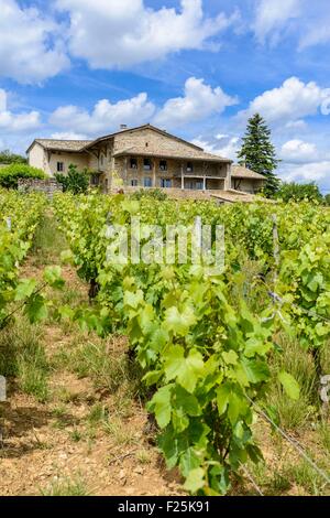 France, Saône et Loire, Grange du Bois, hameau de Solutré Pouilly Banque D'Images