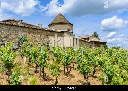 France, Saône et Loire, Grange du Bois, hameau de Solutré Pouilly Banque D'Images