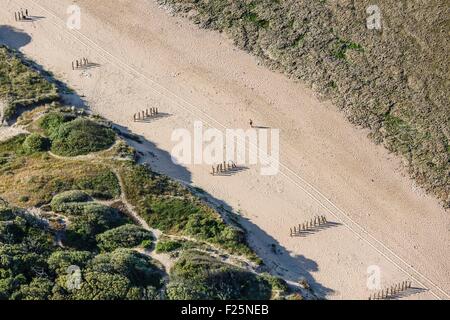 En France, en Charente Maritime, Le Grand Village Plage, pieux de bois sur la plage pour protéger la dune de l'érosion (vue aérienne) Banque D'Images