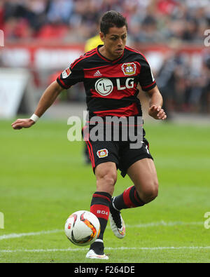 Leverkusen, Allemagne, le 12 septembre 2015, sport, football, Bundesliga, Bayer 04 Leverkusen vs Darmstadt 98 : Chicharito (Leverkusen) contrôle la balle. Credit : Juergen Schwarz/Alamy Live News Banque D'Images